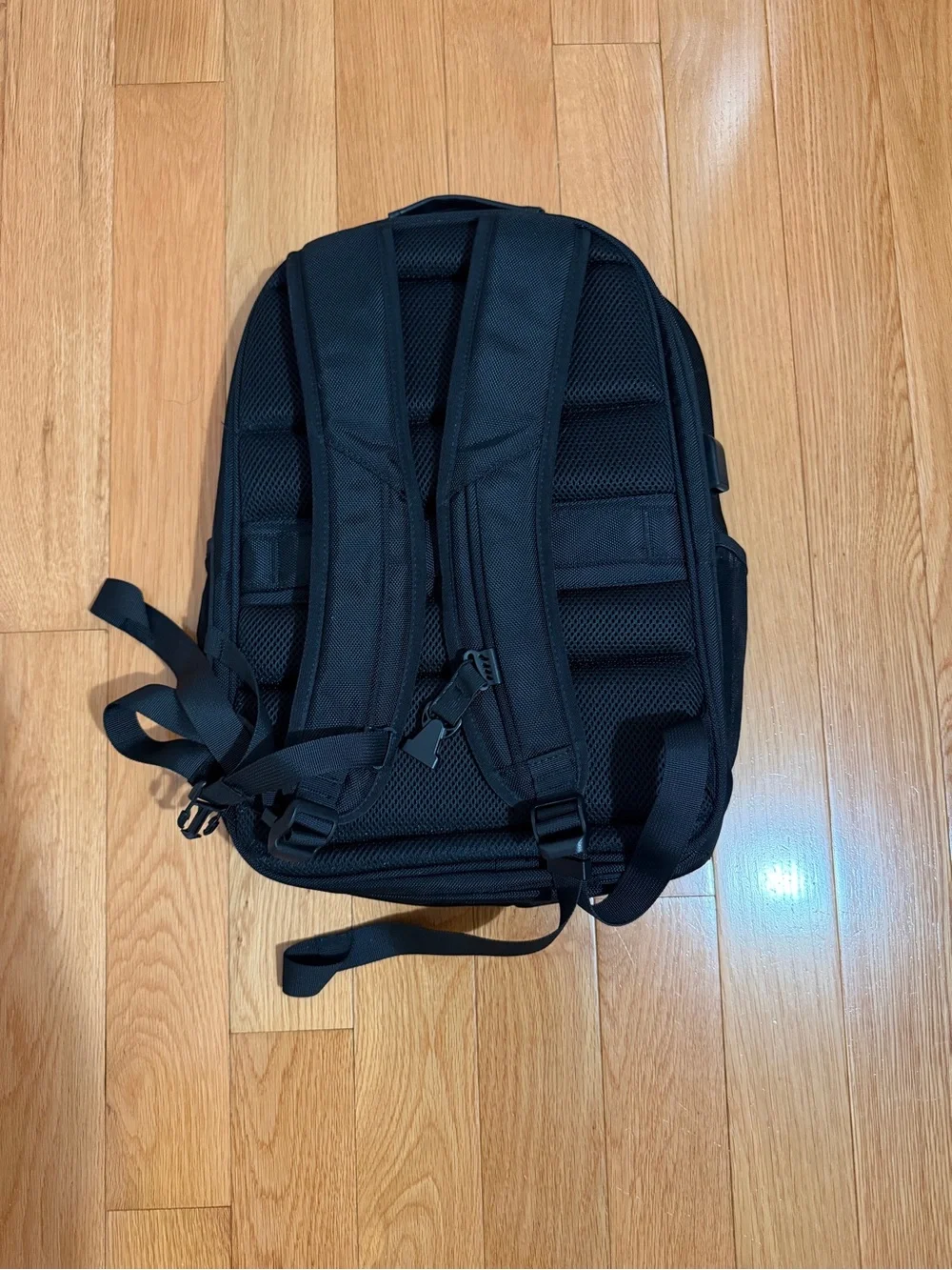 Black Everyday Backpack